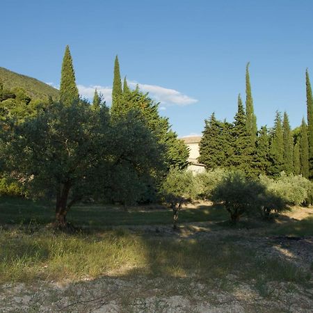 Mas Provencal La Serallere Au Coeur Des Oliviers Venterol  エクステリア 写真