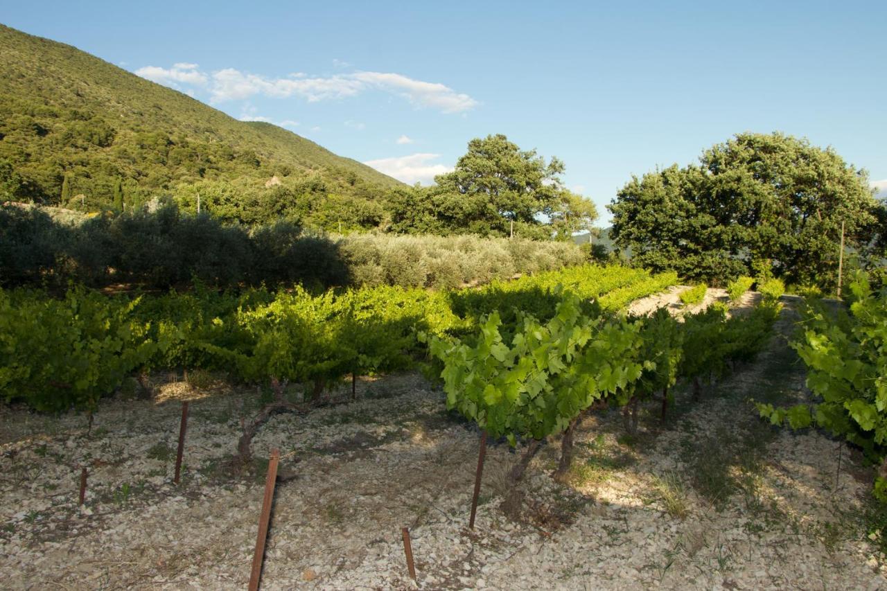 Mas Provencal La Serallere Au Coeur Des Oliviers Venterol  エクステリア 写真
