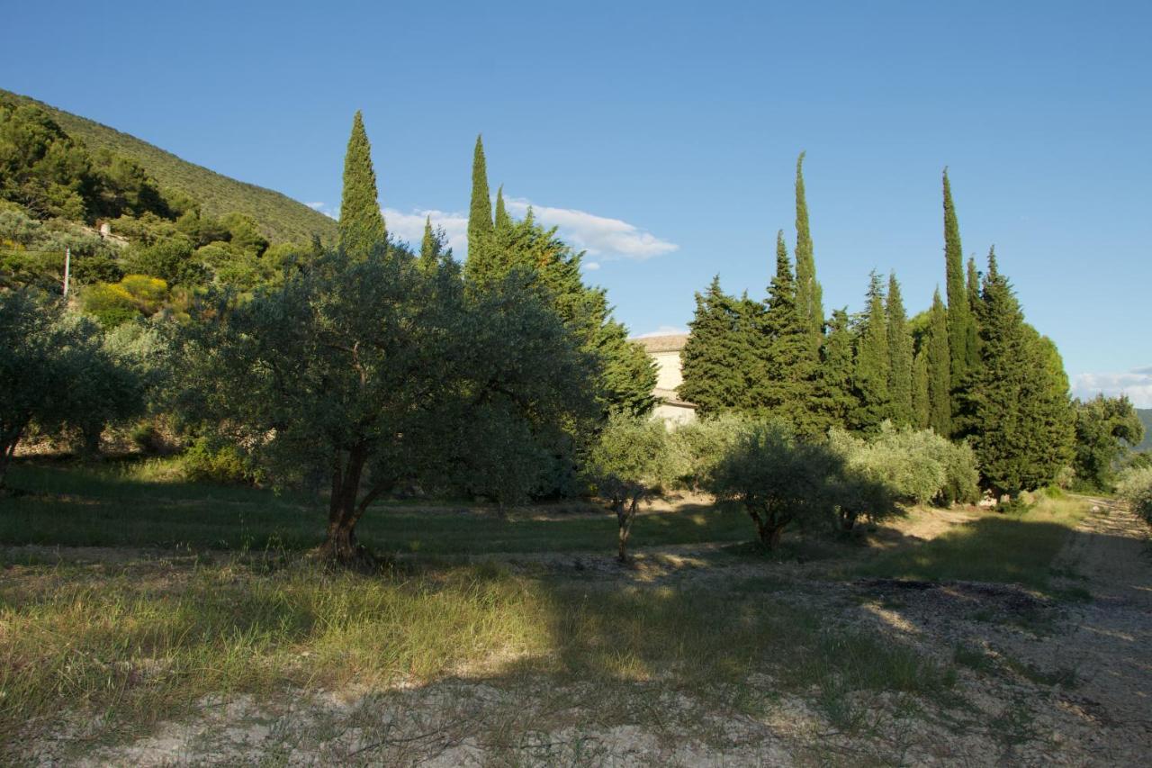Mas Provencal La Serallere Au Coeur Des Oliviers Venterol  エクステリア 写真