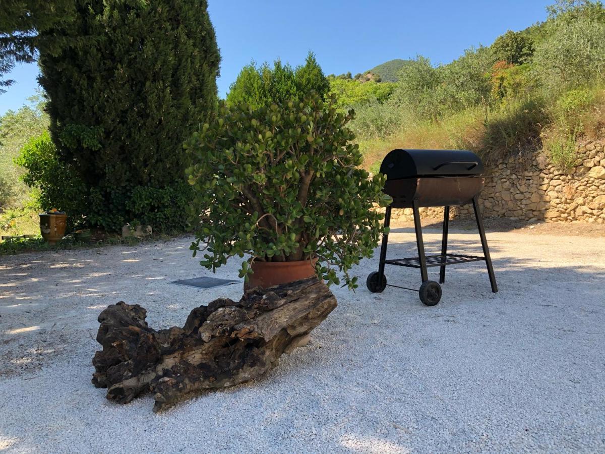 Mas Provencal La Serallere Au Coeur Des Oliviers Venterol  エクステリア 写真